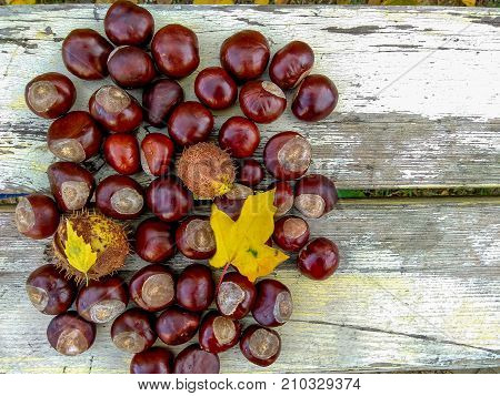 Ripe chestnuts white wooden background, outdoor shoot, top view, background