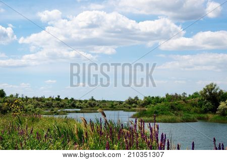 the river with banks copsy green grass