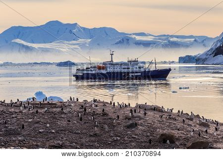 Antarctic cruise ship in the lagoon among icebergs and Gentoo penguins colony on the rocky shore of Neco bay Antarctica