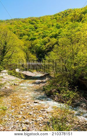 Kuapse river with bridge on the background of mountain with thicket in sunny day Sochi Russia