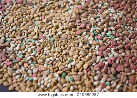 Dry pet food background - a lot of pieces of food in flat position.
