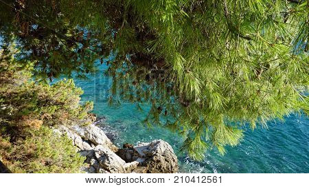 Amazing Natural Beach In Croatian Town Dubrovnik