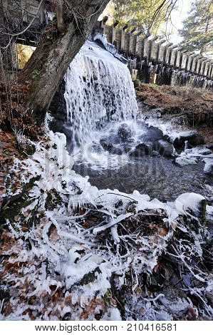 First frost in Sumava mountains, Czech republic