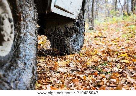 Dirty the wheels of the car after off-road. The car is in the autumn forest, fallen leaves. Selective focus