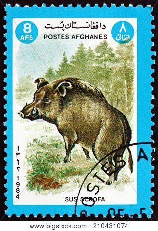 AFGHANISTAN - CIRCA 1984: a stamp printed in Afghanistan shows wild boar sus scrofa is a suid native to much of Eurasia and Nurth Africa circa 1984