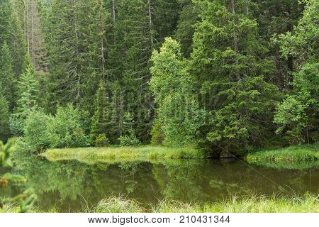 Small Forest Lake In Alpen Mountains, Place For Relaxation And Tranquil Vacation