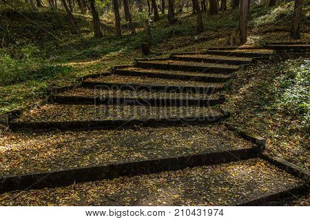 Old stairs in city park covered with yellow leaves