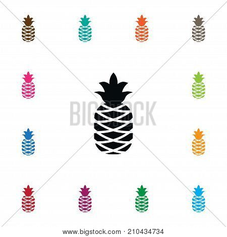 Bromeliads Vector Element Can Be Used For Ananas, Pineapple, Bromeliads Design Concept.  Isolated Pine Icon.