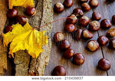 Ripe chestnuts white wooden background, outdoor shoot, top view, background