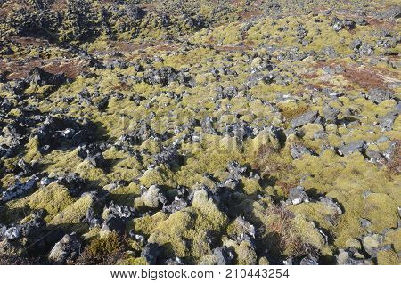Large lava field on an Icelandic glacier with volcanic rocks