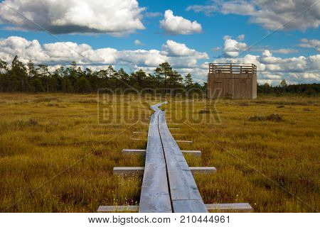 Tourist Pathway In Nigula Reserve