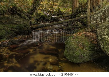 Javori Creek In Krkonose Mountains National Park In Autumn Color Day