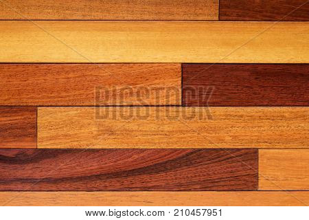 Wooden texture background. Exotic wood pattern.