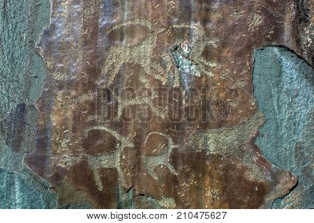 Petroglyphs of the tract Kalbak-Tash in Onguday district, Altai Republic, Russia.