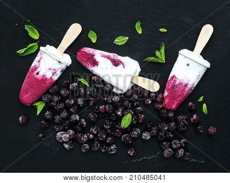 Black-currant and cream ice-creams or popsicles with frozen black-currant and mint on black slate tray over dark grunge backdrop, top view