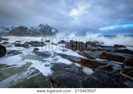 Waves crushing on rocks on rocky coast of fjord of Norwegian sea in winter. Lofoten islands, Norway