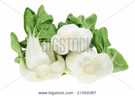 เด็ก Bok Choy