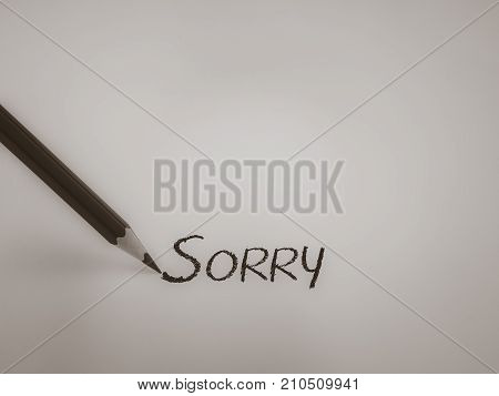 Sorry text concept write with pencil on white background.