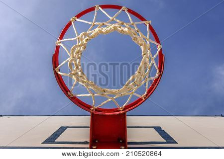 Basket For Basketball