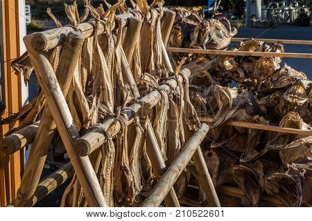 Dryfish, cod stockfish hanging inside on wooden racks in Lofoten Islands, Norway, Europe. Horizontal image.