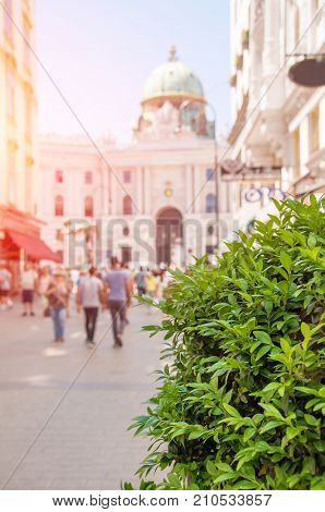 Vienna. Austria. Kohlmarkt street with Hofburg Complex in downtown wtith blurred people and blurred background of a cityscape. Focus on the green leaves.