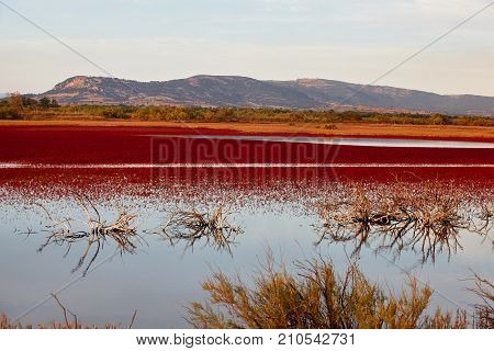 Evening landscape of Evros river in Greece.