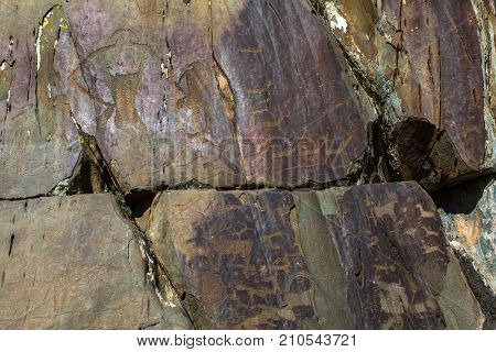 Petroglyphs of the tract Kalbak-Tash in Onguday district, Altai Republic, Russia.