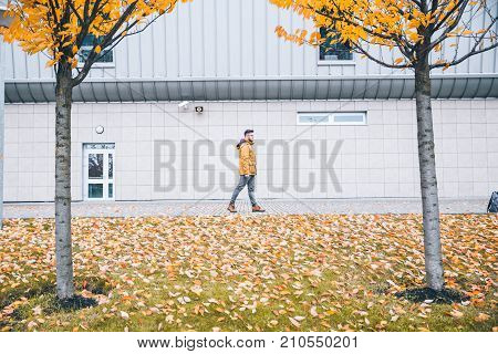 man walkin by city in autumn day yellow trees on front
