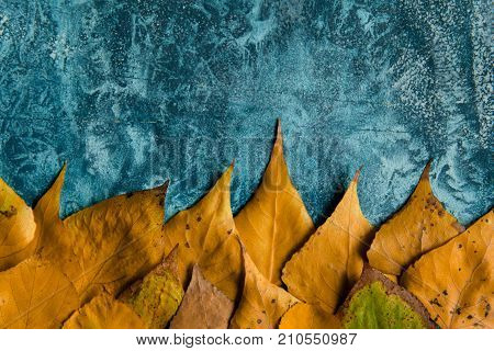 Autumn yellow leaves background. Bright foliage border on textured blue surface. Fall season copy space.