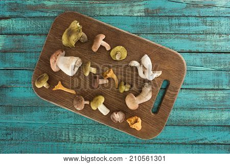 Different Types Of Mushrooms On Cutting Board