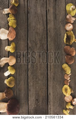 Wooden Surface With Different Types Of Mushrooms