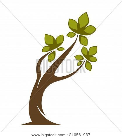 Green tree and tree leaf icon or logo template. Vector isolated cartoon maple, oak or elm and maple deciduous forest symbol for eco environment or horticulture planting icon