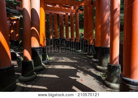 Thorium. Traditional Japanese gates. The entrance to the Shinto shrine and inside it, where symbolically means the transition from the secular to the sacred