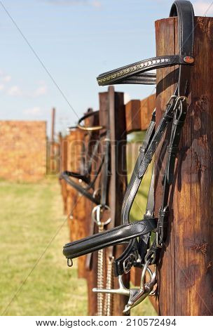 Rown horse bridle hanging on wooden fence