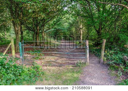 Closed iron gate leading to a forest path. Summer shot taken in Hainault forest.