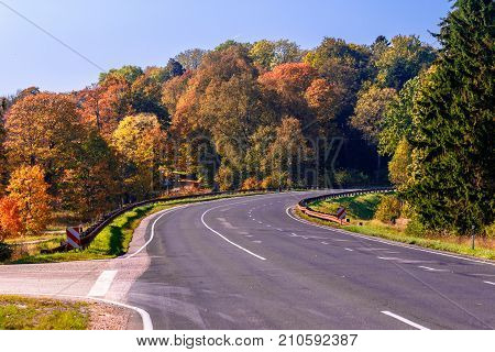 Asphalt road bend in country side through autumn forest
