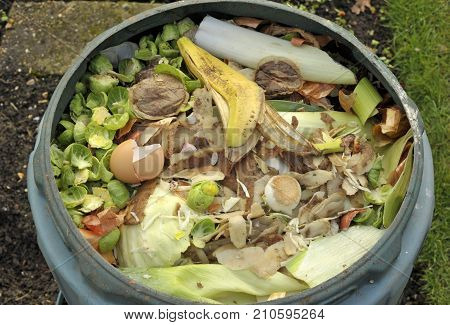 Kitchen Waste