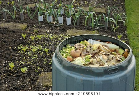 Kitchen Waste