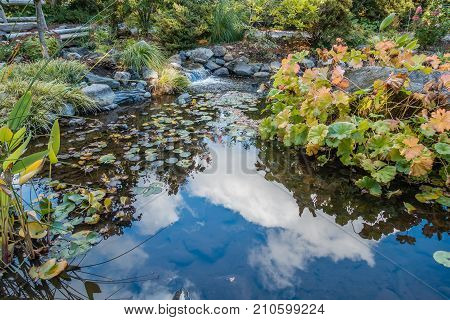 Clouds are reflected in a pond in Seatac Washington.
