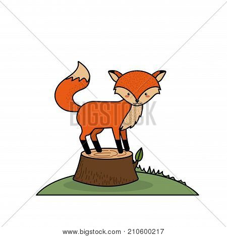 cute fox animal in bole wood tree vector illustration