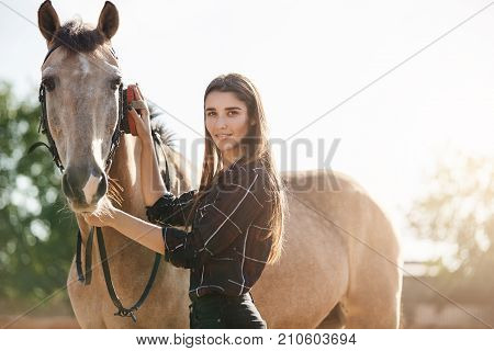 Young stallion standing near a beautiful posh long haired woman. Dreaming of becoming a Broodmare manager to travel from office to barn.