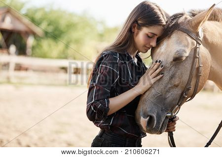 Portait of young female broodmare petting a new horse on a ranch on a sunny summer day.