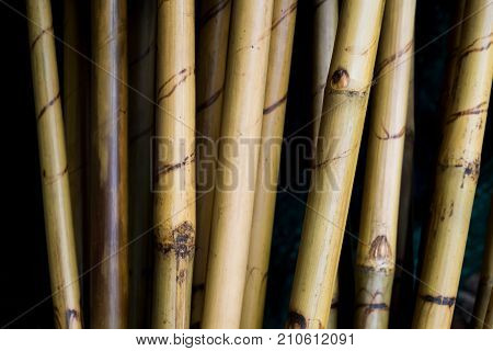 Broom handle made by bamboo Thai traditional hand craft.