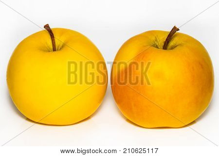 Two Ripe Yellow Apple Isolated On White Background