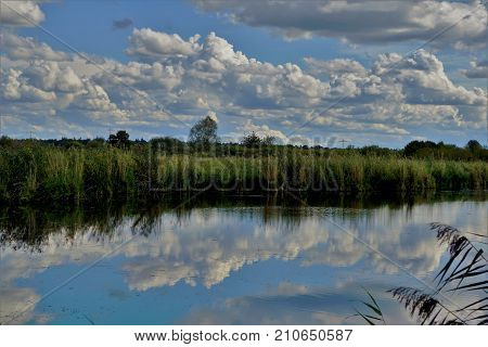 Beautiful and calm view over lake in summer