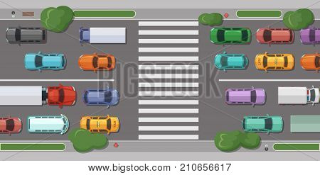 Vector road with cars in front of pedestrian zone with trees and grass on sidelines top view illustration