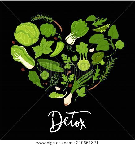 Salads and fresh vegetables or herbs poster for healthy detox diet. Vector heart shape of onion, spinach and farm grown cuucmber, parsley or dill and green salad leaf of arugula and kohlrabi cabbage