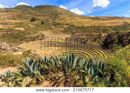 Moray Circles, Round Shaped Historic Incan Agriciltural Site On The Hills With Agava Leaves In The F