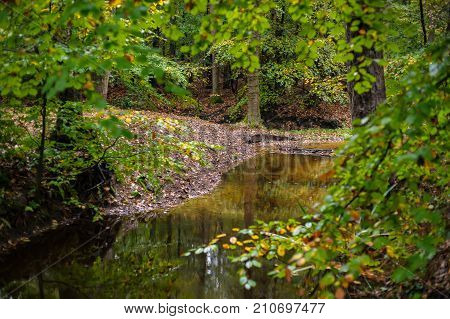 The Leuvenumse Creek Is One Of The Few Natural Streams In Dutch Nature. This Brook Is The Longest Of