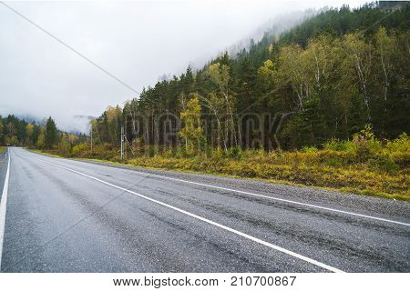 Federal highway M-52 Chuysky tract, asphalt road with markings among the autumn trees. Russia, the Altai Republic.